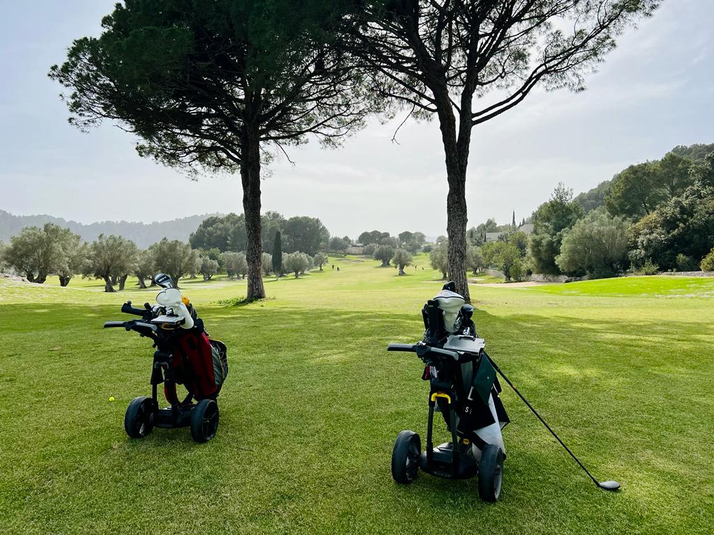 Swingolf cestos gold con fondo de campo juego